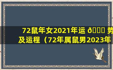 72鼠年女2021年运 💐 势及运程（72年属鼠男2023年的运程和每月运势）